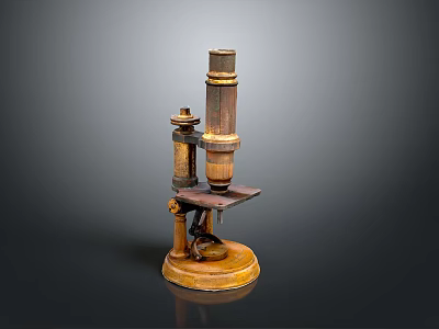 Vintage Brass Microscope With Wooden Base And Metal Structure Components 3d model