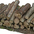 Stacked Natural Wood Logs With Stone And Green Plants On Earthy Ground