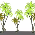 Tall Lush Tropical Palm Trees With Curved Trunks And Green Fronds