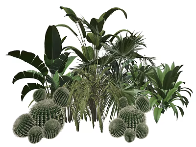Decorative Indoor Plant Combination With Large Leaves Cacti And Tropical Foliage 3d model