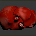 Human Heart Anatomical 3D Rendering With Internal Chambers Detailed Structure View 3d model