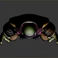 Ninja Turtles Teenage Mutant Turtles Ninja Cartoon Ninja Turtles Animation Ninja Turtles Animation Ninja Turtles 3d model