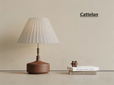 Elegant Table Lamp With White Pleated Lampshade Brown Ceramic Base And Stack Of Books 3d model