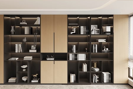 Bookcase Custom Cabinet 3d model