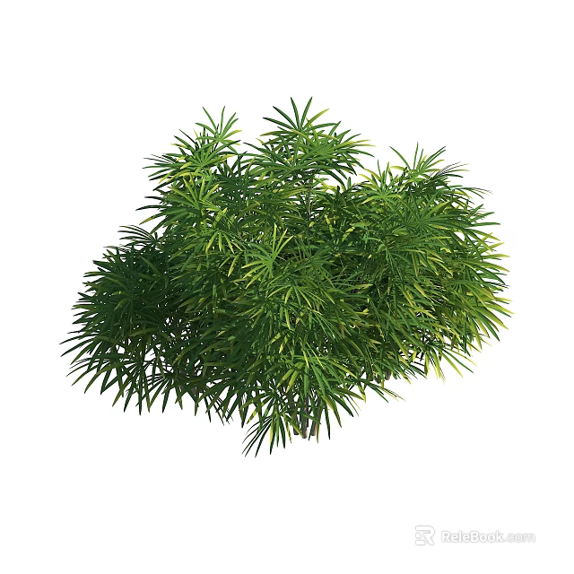 Tall Evergreen Arbor with Lush Green Foliage and Strong Trunk in Garden Area 3d model 
