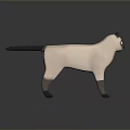 Siamese Cat 3D Character Model With Blue Eyes And Dark Colored Extremities 3d model