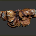Close Up View Of Fresh Walnut With Natural Brown Texture And Nutty Shape