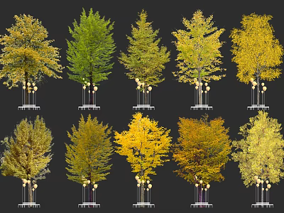 Various Ornamental Arbor Trees With Green Yellow And Golden Seasonal Foliage 3d model