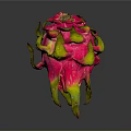 Vibrant Pink Dragon Fruit With Fresh Flesh And Green Leafy Tips On Dark Background