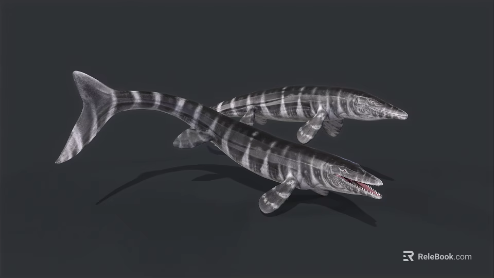 Prehistoric Aquatic Ichthyosaurus With Striped Body Long Snout And Sharp Teeth 3d model 