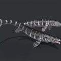 Prehistoric Aquatic Ichthyosaurus With Striped Body Long Snout And Sharp Teeth