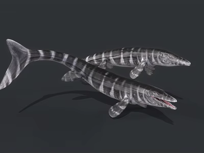 Prehistoric Aquatic Ichthyosaurus With Striped Body Long Snout And Sharp Teeth 3d model