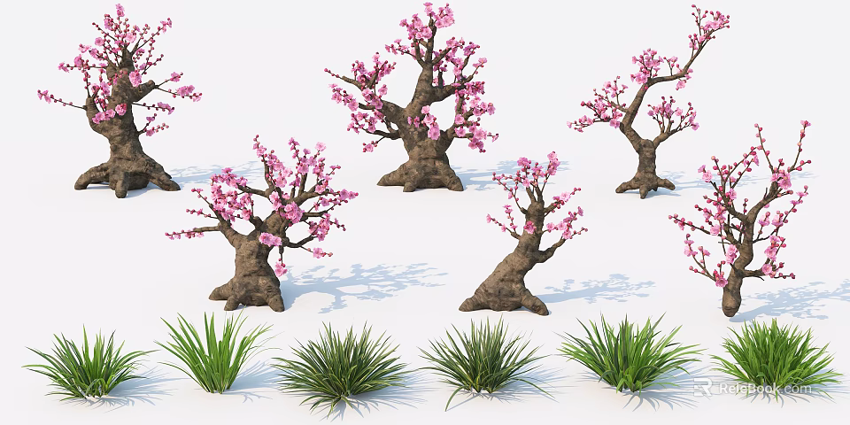Pink Flowering Trees With Thick Trunks And Green Grass In Garden 3d model 