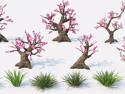 Pink Flowering Trees With Thick Trunks And Green Grass In Garden 3d model