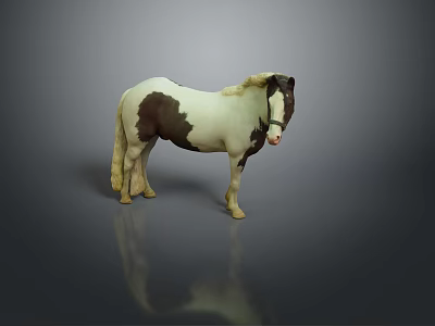 Realistic Brown and White Pony Standing on Gray Surface with Reflection 3d model