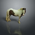 Realistic Brown and White Pony Standing on Gray Surface with Reflection