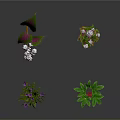 Various Green Plants with Purple White and Red Flowers and Fresh Leaves