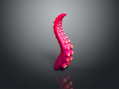 Pink Octopus Tentacle with Round Suckers on Gray Background Detailed Close up View 3d model