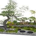 New Chinese style landscape sketch modeling pine tingbu terrain landscaping 3d model