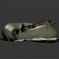 Green Snake Shaped Cat Bed With Sleeping Tabby Cat On Patterned Mat