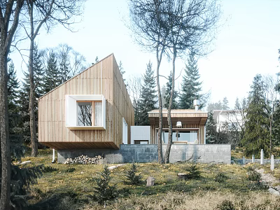 Detached Wooden House With Sloped Roof Surrounded By Trees And Stacked Wood 3d model