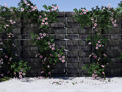 Garden Landscape With Stone Wall Climbing Green Vines Pink Flowers And White Pebbles Ground 3d model