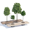 Tree Planters with Wooden Bench Design and Various Size Trees 3d model