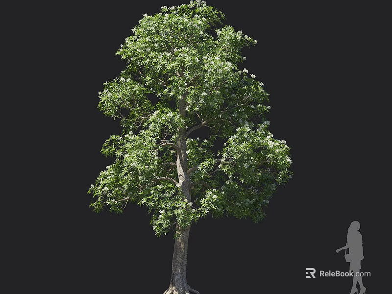 Ripe Edible Fruits On Lush Green Tree With Person Standing Nearby 3d model 