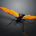 Vibrant Insect With Yellow Orange Wings Black Body And Blue Head Detailed Features