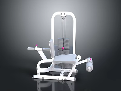 White Seated Fitness Equipment With Adjustable Seat Weight Stack And Pink Accents 3d model