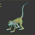 3D Model Yellow Monkey with Gray Tail Blue Tip Orange Limbs Standing on Black Background 3d model