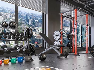 Modern Gym Interior With Various Fitness Equipment And City View 3d model