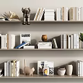 Books and Magazines Arranged on Shelves with Decorative Toy Vase and Potted Plant