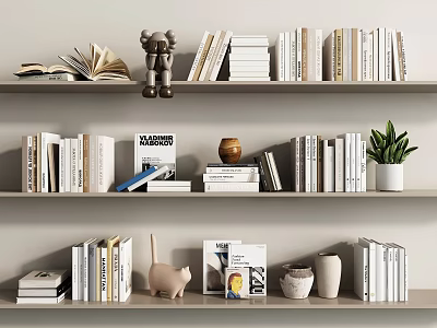 Books and Magazines Arranged on Shelves with Decorative Toy Vase and Potted Plant 3d model