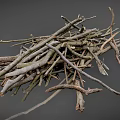 Collection of Various Natural Dry Twigs and Branches on Gray Background