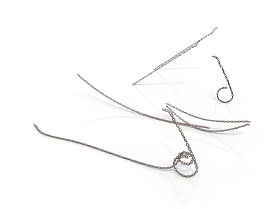 Stylish Silver Necklaces And Earrings For Daily Accessory Use In Life 3d model