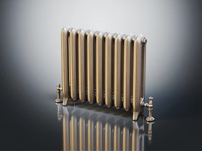 Brass Vertical Radiator With Classic Design And Decorative Valves On Reflective Surface 3d model