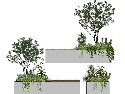 Various Bonsai Potted Plants With Trees And Greenery In Rectangular Planters 3d model