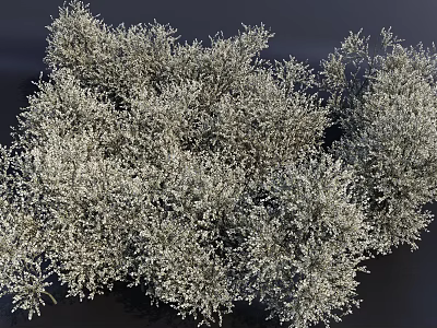 Lush Green Arbor With Dense Branches And Vibrant Foliage In Natural Outdoor Setting 3d model