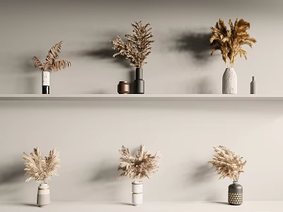 Decorative Dried Flower Displays In Various Vases On Minimalist Wall Shelves 3d model