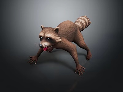 3D Raccoon Model In Aggressive Stance With Detailed Furry Texture And Open Mouth 3d model