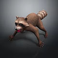 3D Raccoon Model In Aggressive Stance With Detailed Furry Texture And Open Mouth
