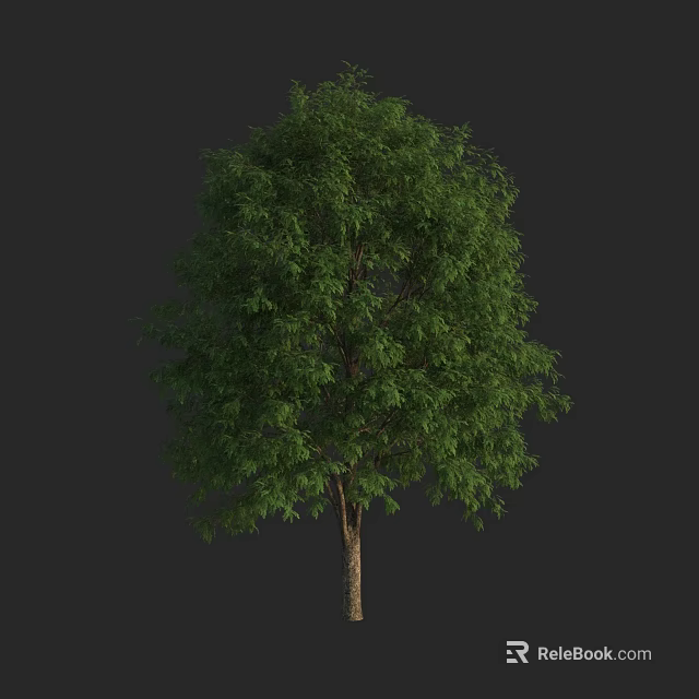 Lush Green Tree With Dense Foliage And Brown Trunk On Dark Background 3d model