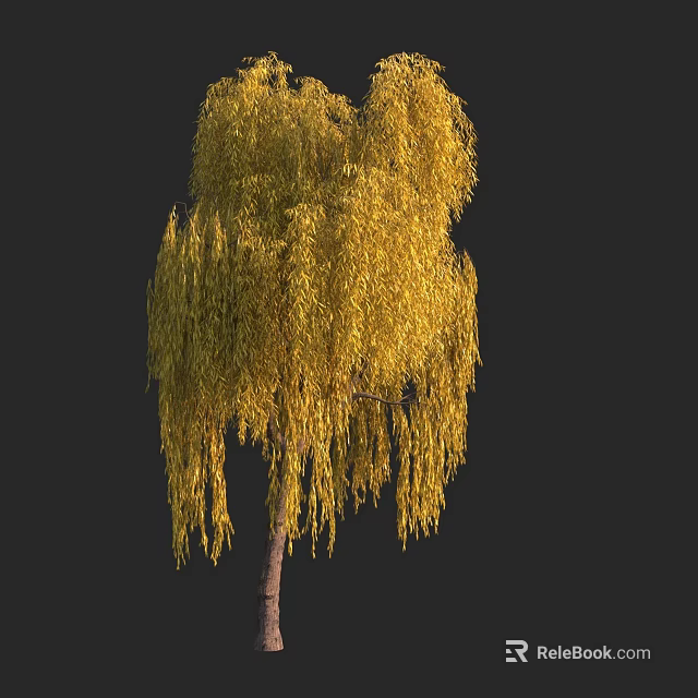 Weeping Willow Tree With Yellow Leaves And Hanging Branches In Autumn Season 3d model 