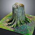 Natural Wooden Tree Stump With Exposed Roots And Green Mossy Grass