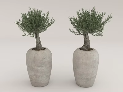 Decorative Bonsai Trees Planted in Concrete Pots for Home Garden Decoration 3d model