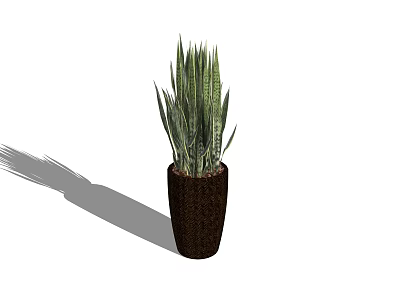 Potted Bonsai Plant with Long Green Leaves in Brown Textured Pot for Indoor Decor 3d model