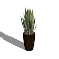 Potted Bonsai Plant with Long Green Leaves in Brown Textured Pot for Indoor Decor
