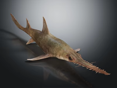 Sawfish With Long Serrated Rostrum And Streamlined Grayish Brown Body On Dark Reflective Background 3d model