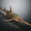 Sawfish With Long Serrated Rostrum And Streamlined Grayish Brown Body On Dark Reflective Background